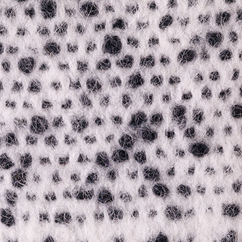 230_1365 White/Black